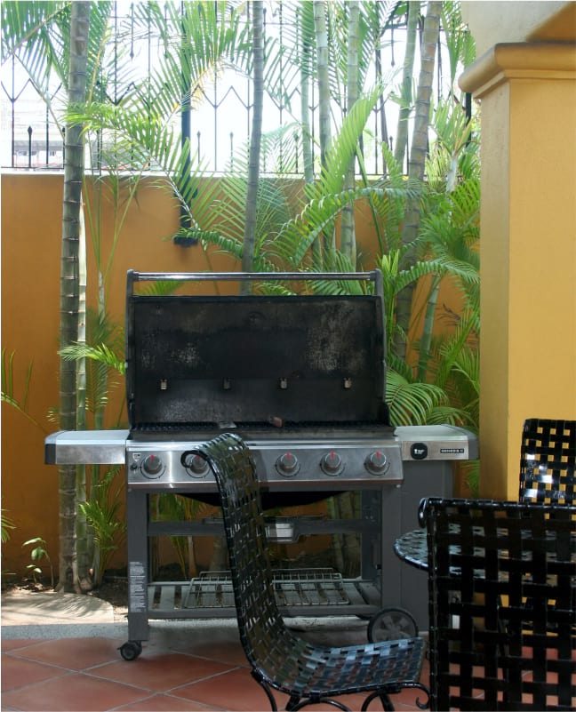 Hacienda Patrizia Professional grill