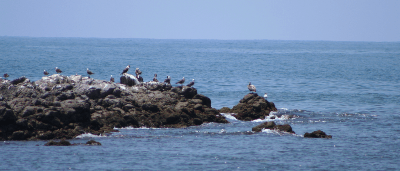 Hacienda Patrizia Puerto Vallarta